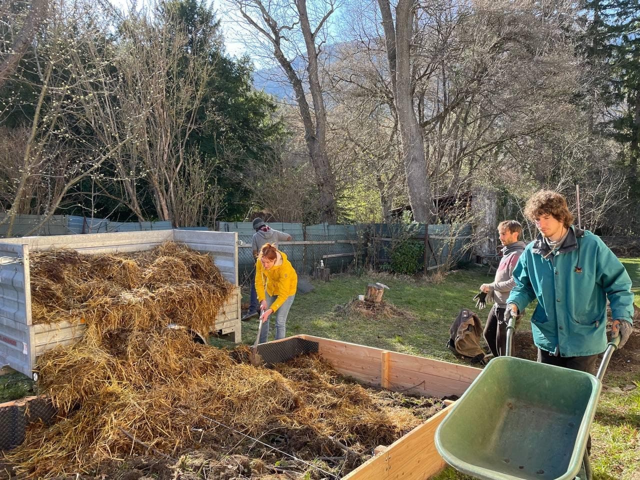 Gathering the Energy of the Commons