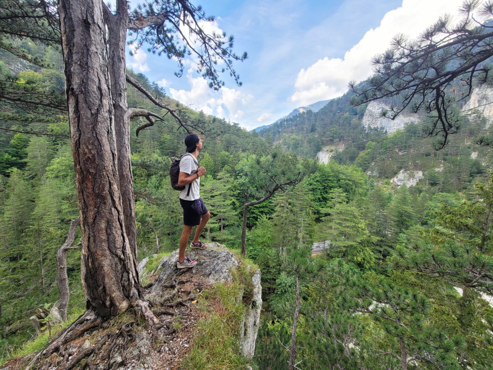 Looking out over the wooded Höllental from a rock above the path