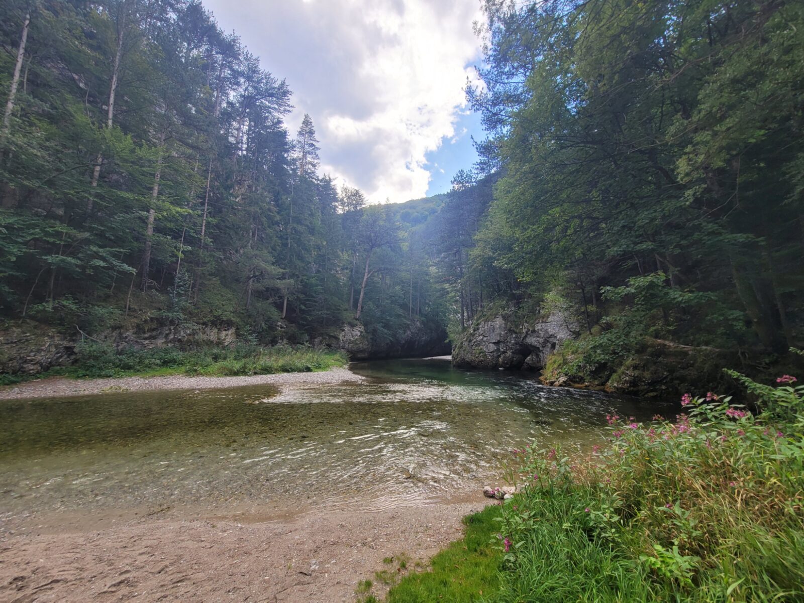The Schwarza running out of the gorge over a gravel bank